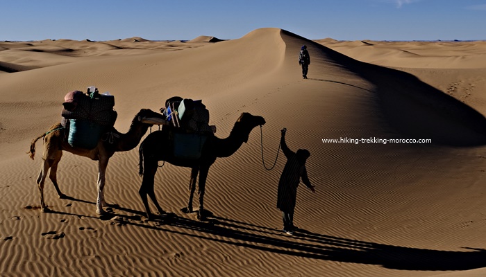 4 Days Trekking Desert Morocco