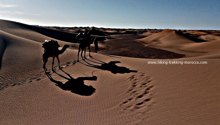 6 -Days desert hike morocco