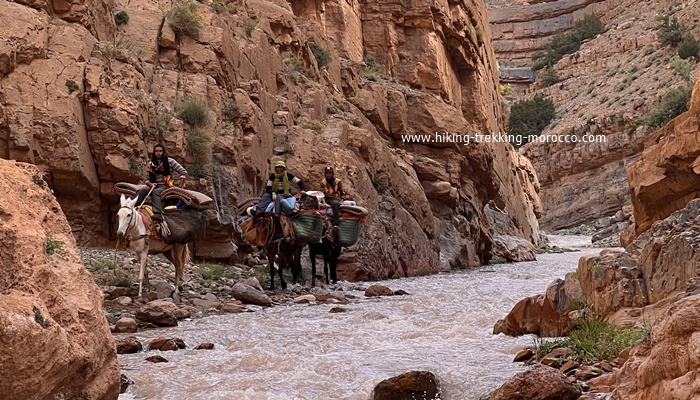 M'goun canyon trek 