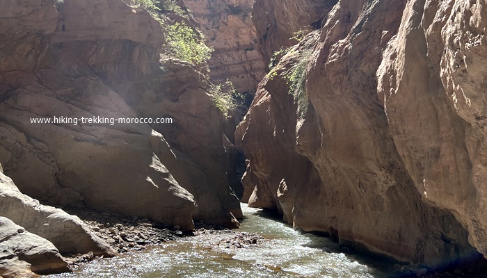 M’goun canyon trekking