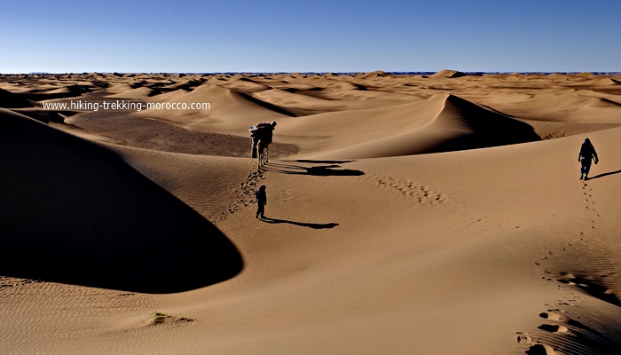 trek in Morocco desert